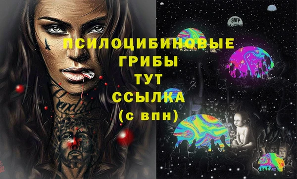 МДПВ Абдулино