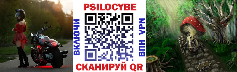 наркошоп Энгельс Галлюциногенные грибы MAGIC MUSHROOMS