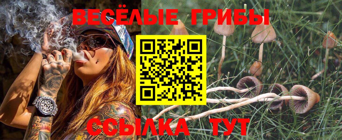 Галлюциногенные грибы мухоморы Энгельс